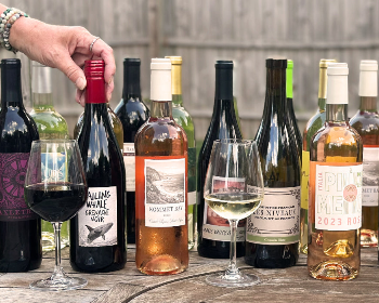 red, white and red wines on a picnic table with two glasses of wine and a hand reaching for a bottle