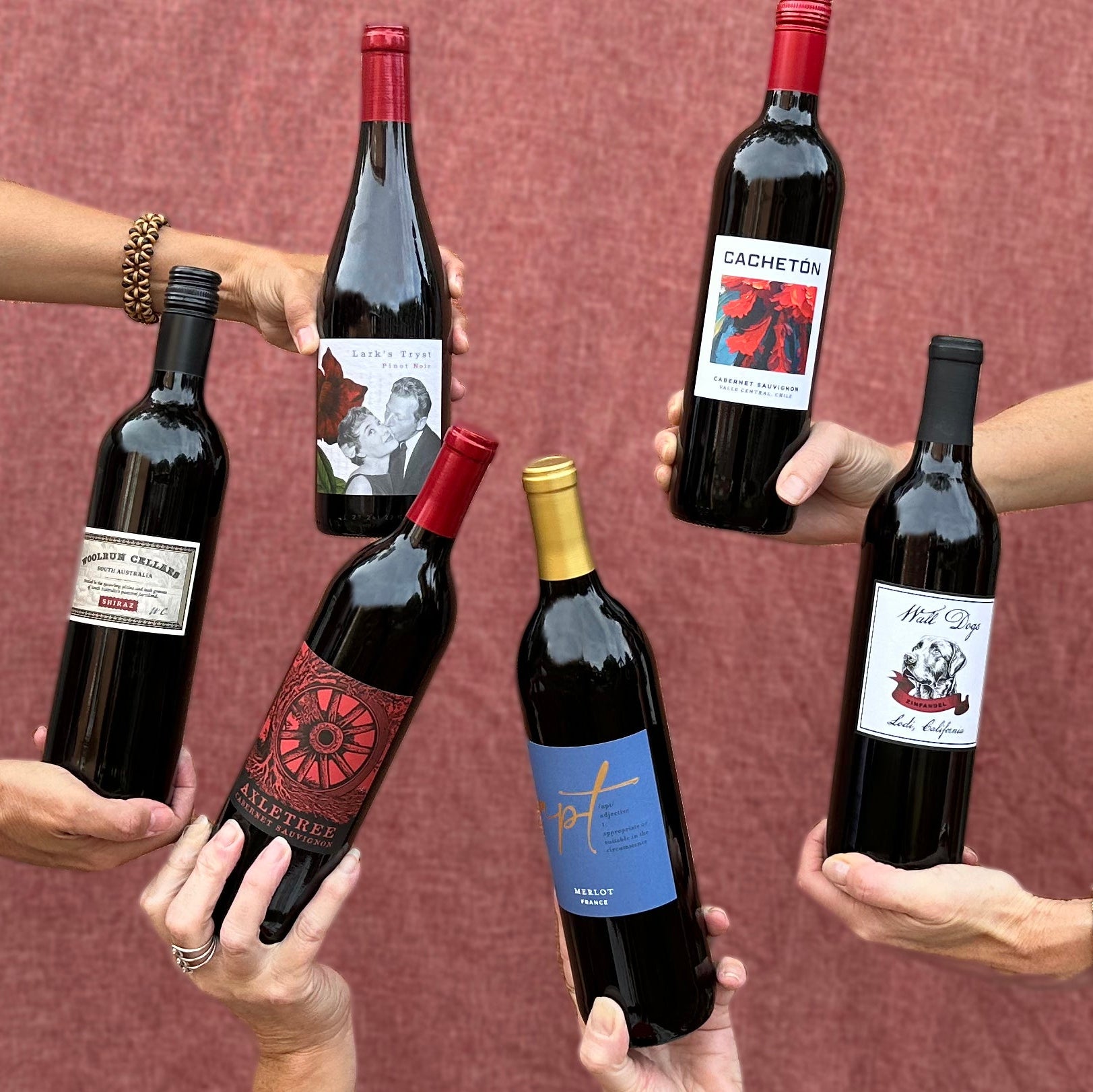 Dry Red Collection (6 bottles)