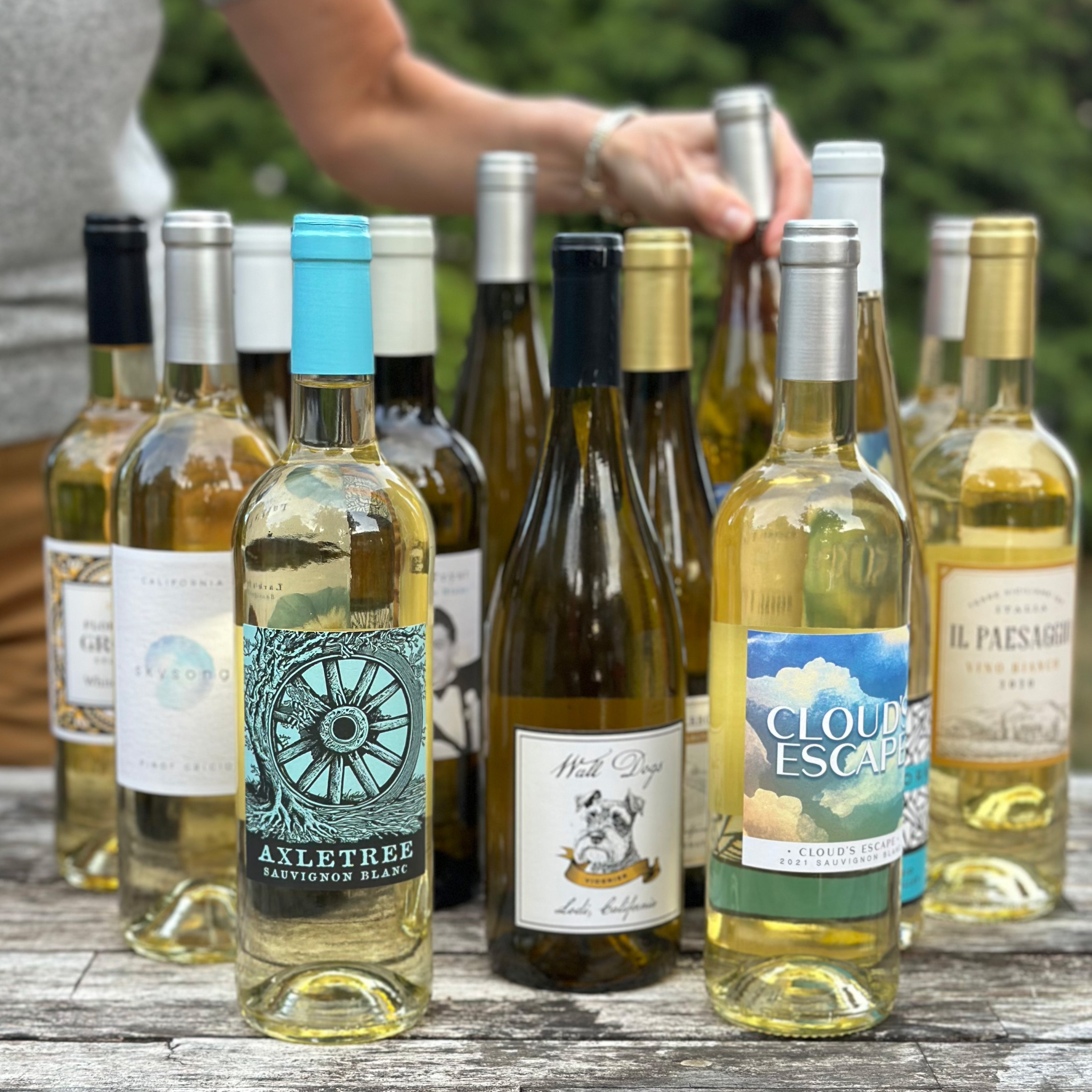 Crisp Whites for Autumn Nights (12 Bottles)