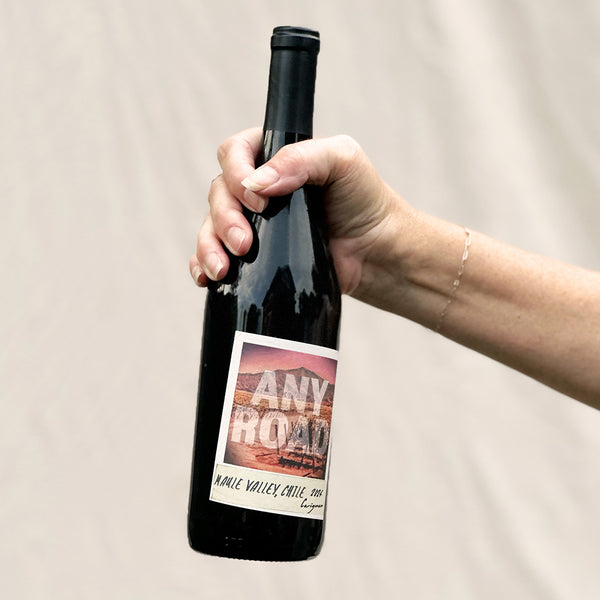 Any Road 2024 Carignan Maule Valley DO, Chile