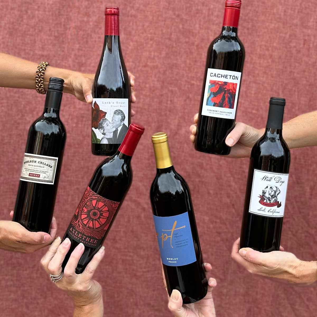 Dry Red Collection (6 bottles)